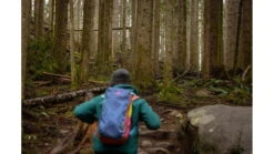 Cotopaxi Batac 16L Backpack 33 Cotopaxi Batac 16L Backpack -Cotopaxi Shop opplanet cotopaxi batac 16l backpack del dia 16l btp s17 dd av 9