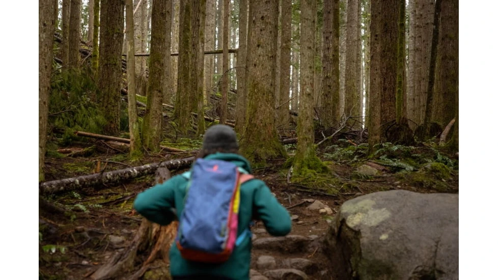 Cotopaxi Batac 16L Backpack 15 Cotopaxi Batac 16L Backpack - Image 15